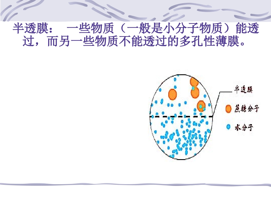 4-1物质跨膜运输的实例-ppt_第2页