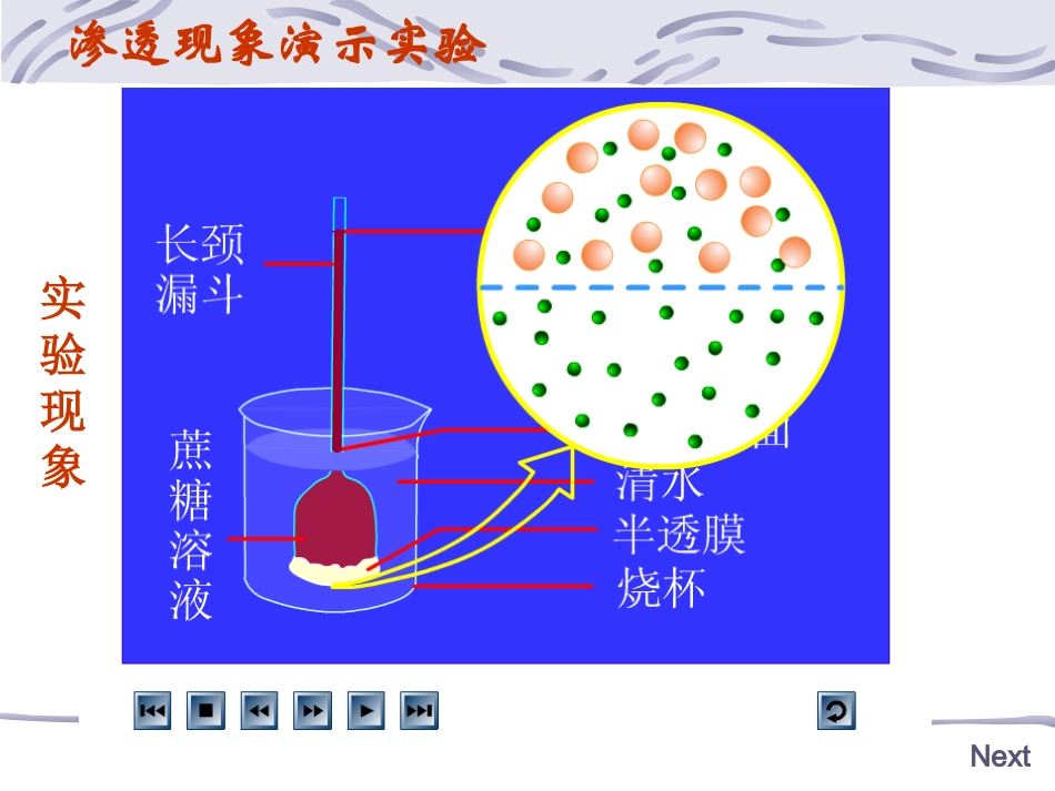 4-1物质跨膜运输的实例-ppt_第3页