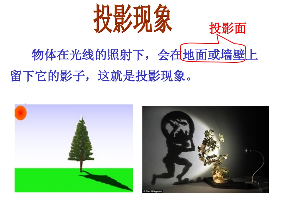 北师大版九年级上《4.2太阳光与影子》_第2页