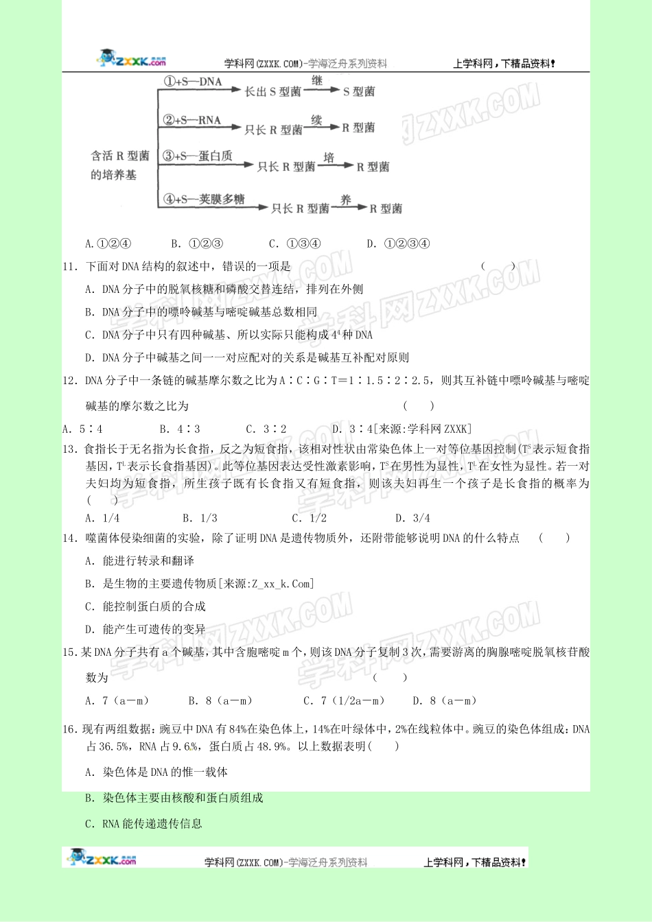 生物：第3章《基因的本质》单元模拟试题(3)(新人教版必修2)_第3页