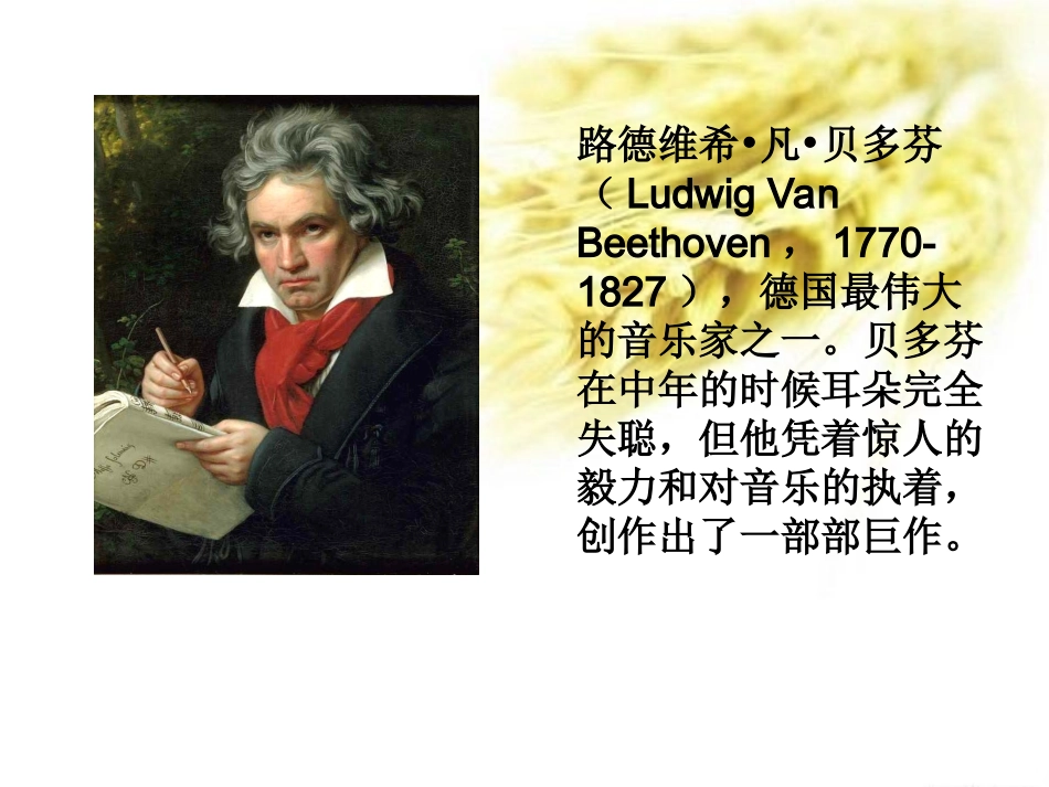 欢乐颂-(2)_第3页