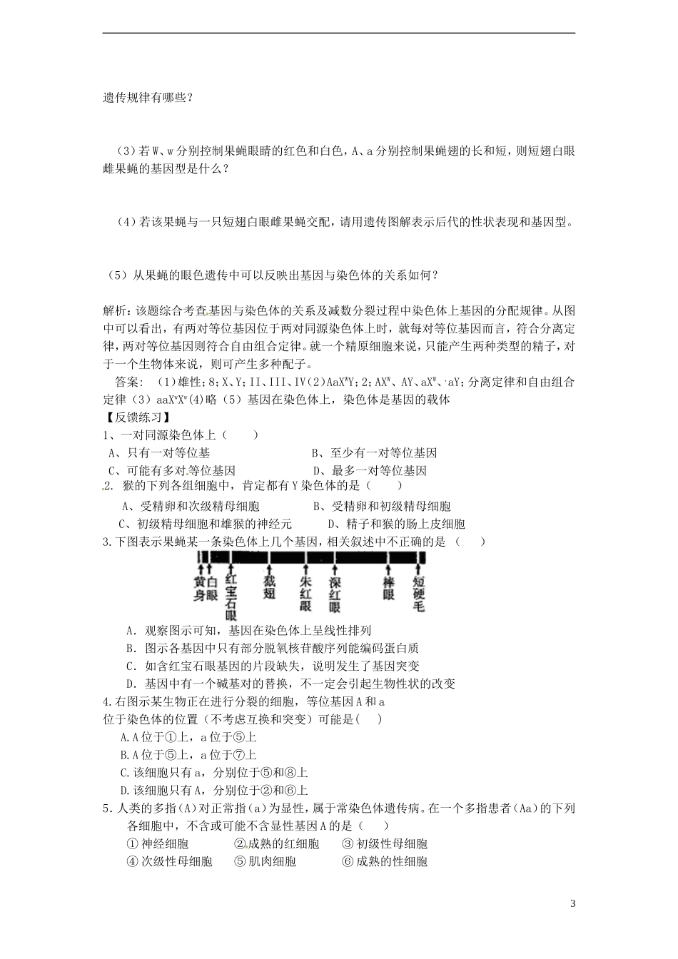 河南省沁阳一中高中生物《22 基因在染色体上》导学案 新人教版必修2_第3页