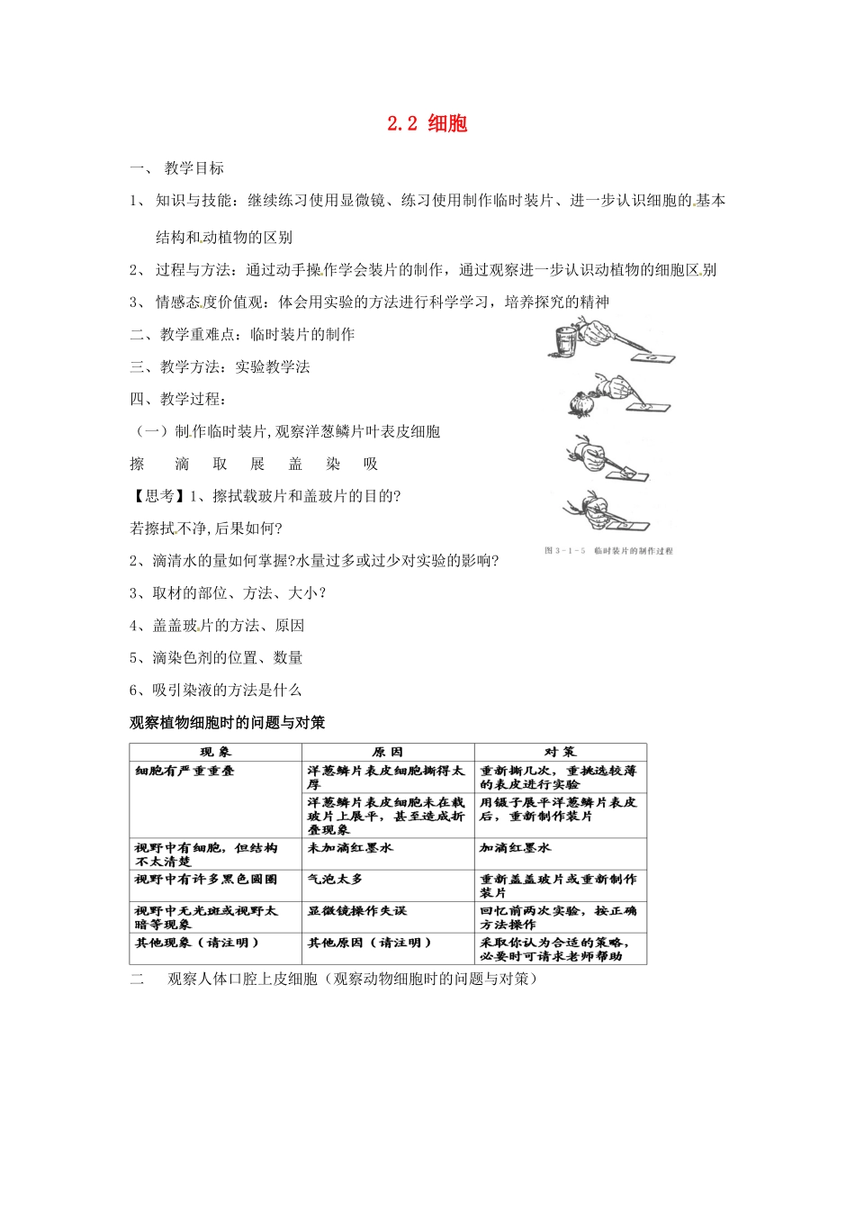 浙江省温州市龙湾区实验中学七年级科学上册 2.2 细胞（第3课时）教案 浙教版_第1页
