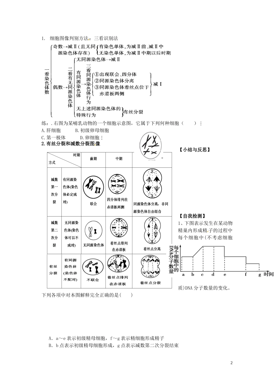 河北省唐山市开滦第二中学高中生物 2.1 减数分裂和受精作用（第3课时）导学案 新人教版必修2_第2页
