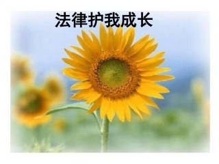 法律护我成长