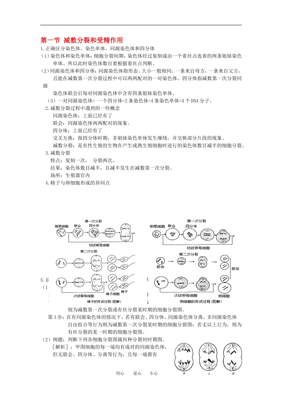 河北省张家口一中高一生物 第二章第一节《 减数分裂和受精作用》学案_第1页