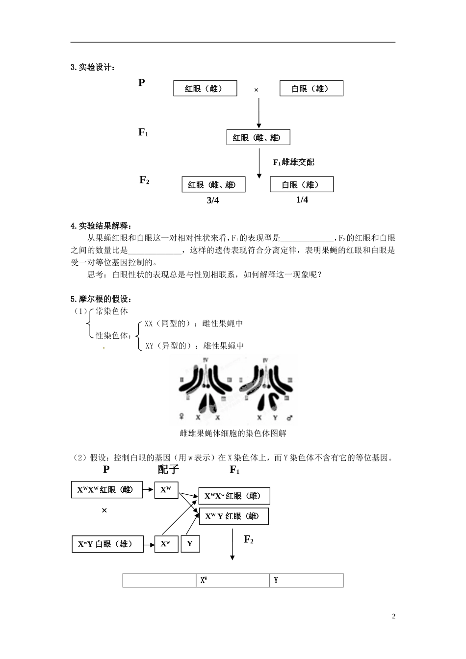 湖南省怀化市湖天中学高中生物 2.2 基因位于染色体上教学案 新人教版必修2_第2页
