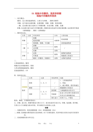 河北省广平一中高三生物总复习学案 04 细胞中的糖类、脂质和核酸（艺术班）