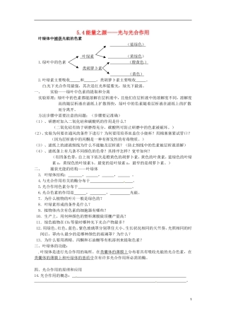 河北省邯郸四中高二生物《5.4能量之源》学案