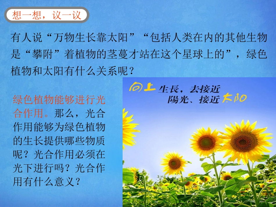 绿色植物是生物圈中有机物的制造者-(2)_第1页