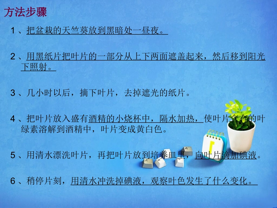 绿色植物是生物圈中有机物的制造者-(2)_第3页