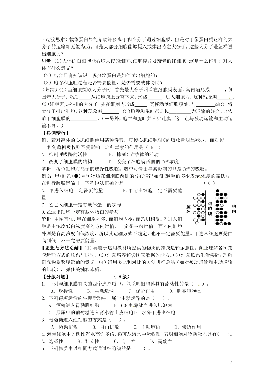 河北省邯郸四中高中生物《43物质跨膜运输的方式》导学案 新人教版必修1_第3页