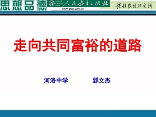 走向共同富裕的道路2013