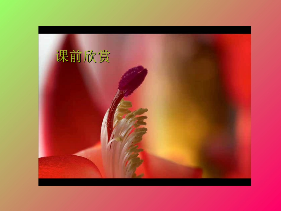 花儿为什么这样红-(3)_第1页