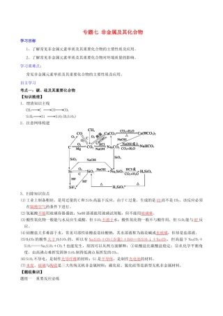 高考化学二轮复习 专题07 非金属及其化合物学案 鲁科版-鲁科版高三全册化学学案
