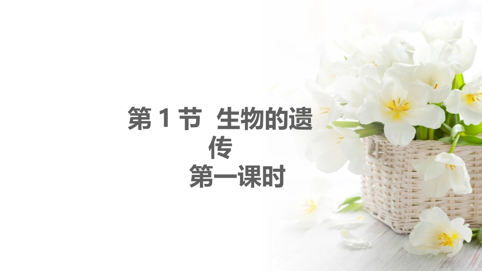 第1节生物的遗传_第1页