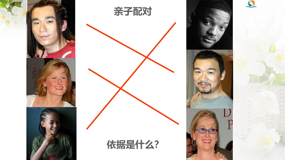 第1节生物的遗传_第3页