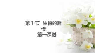 第1节生物的遗传