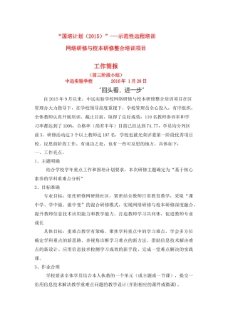中远实验学校“回头看-进一步”工作简报