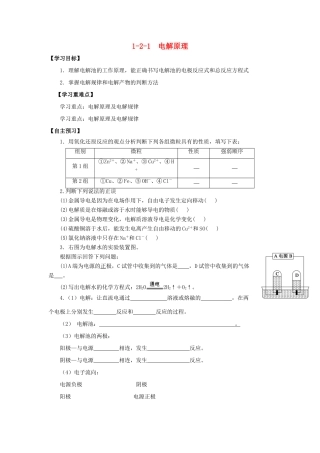 高中化学 第1章 化学反应与能量转化 1.2.1 电解原理导学案 鲁科版选修4-鲁科版高二选修4化学学案