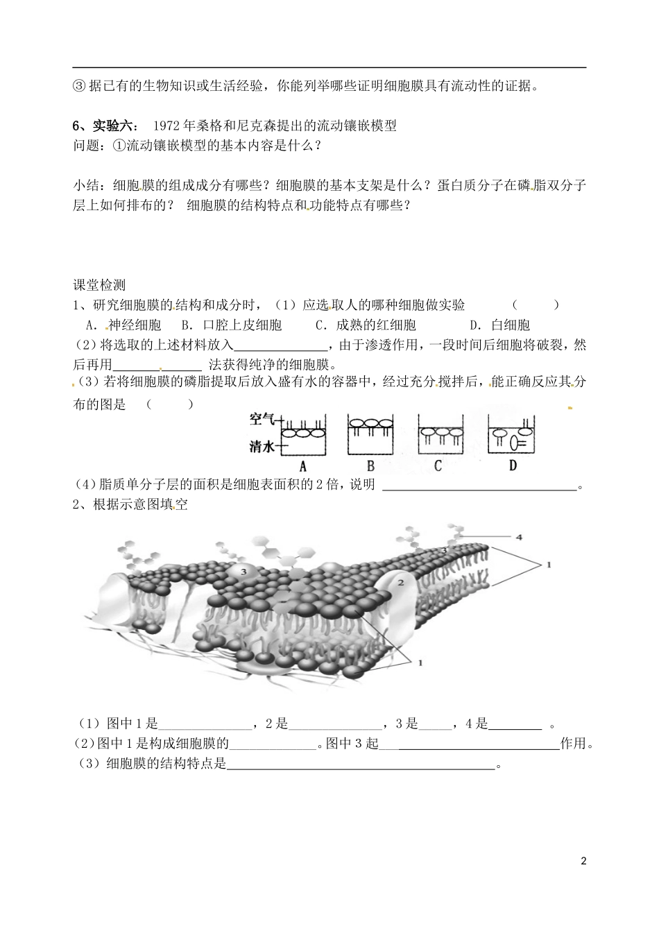 河北省邯郸市临漳县第一中学高一生物 生物膜的流动镶嵌模型导学案 新人教版_第2页