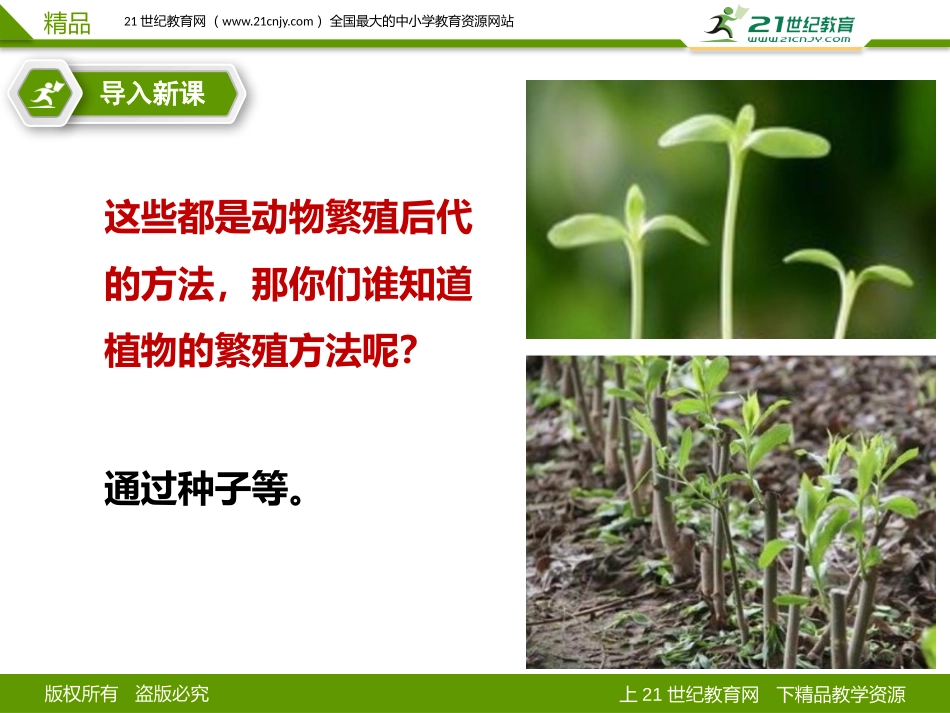 3植物妈妈有办法_第3页