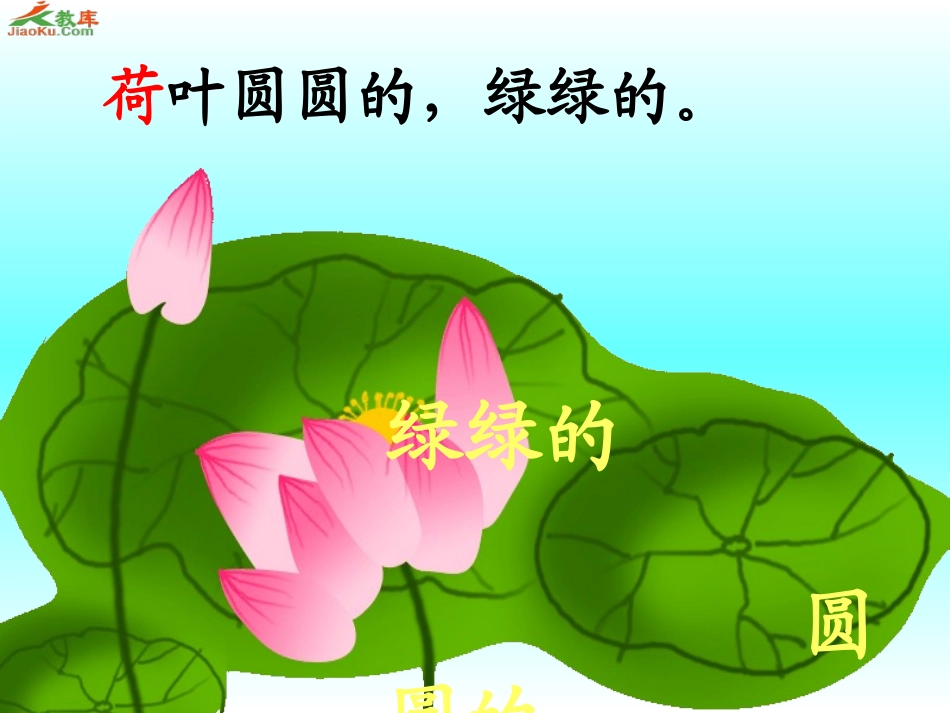 荷叶圆圆时艳芹_第3页