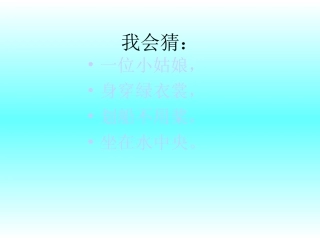 荷叶圆圆时艳芹