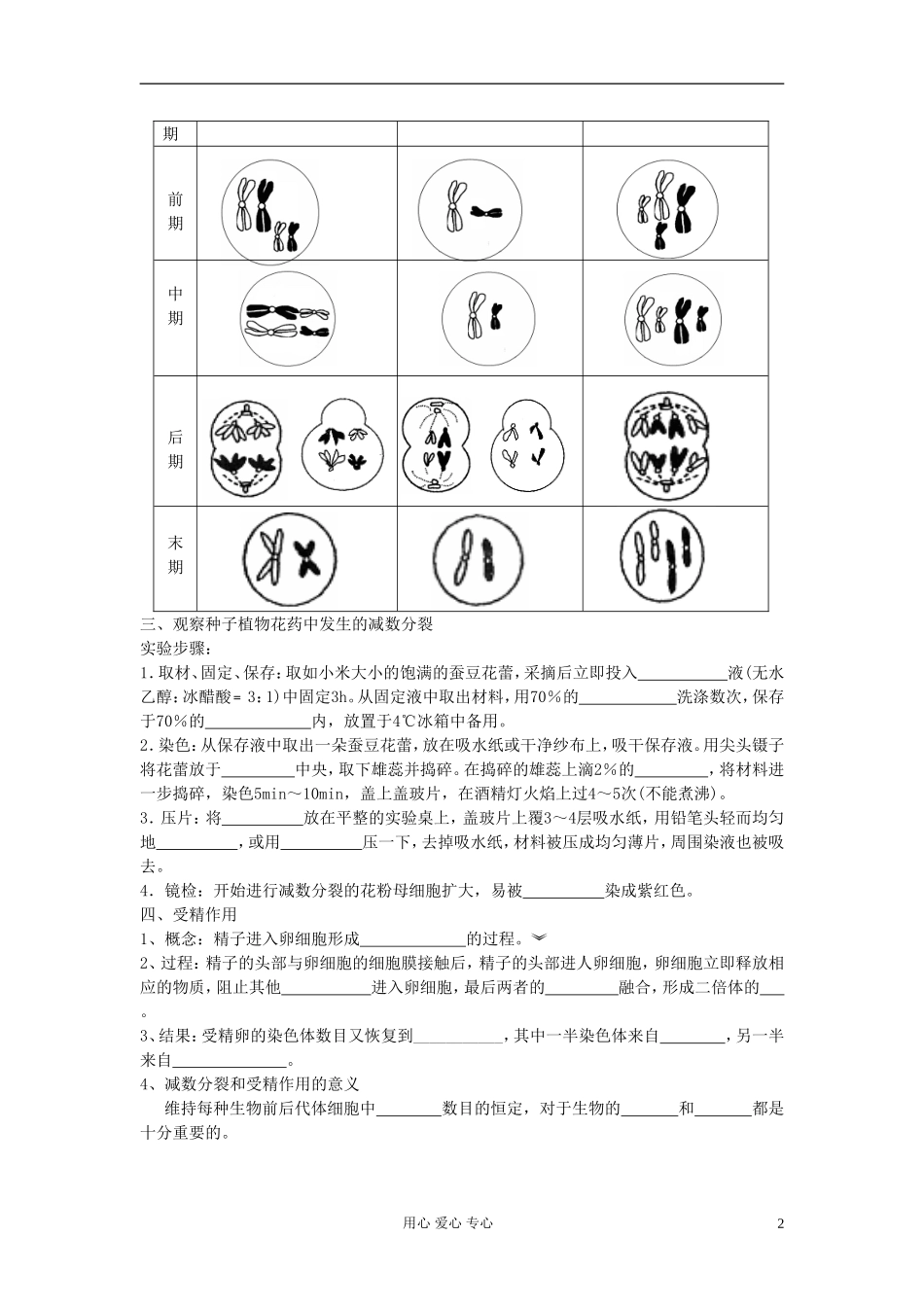 江苏淮阴中学高中生物《减数分裂》学案10 苏教版必修2_第2页