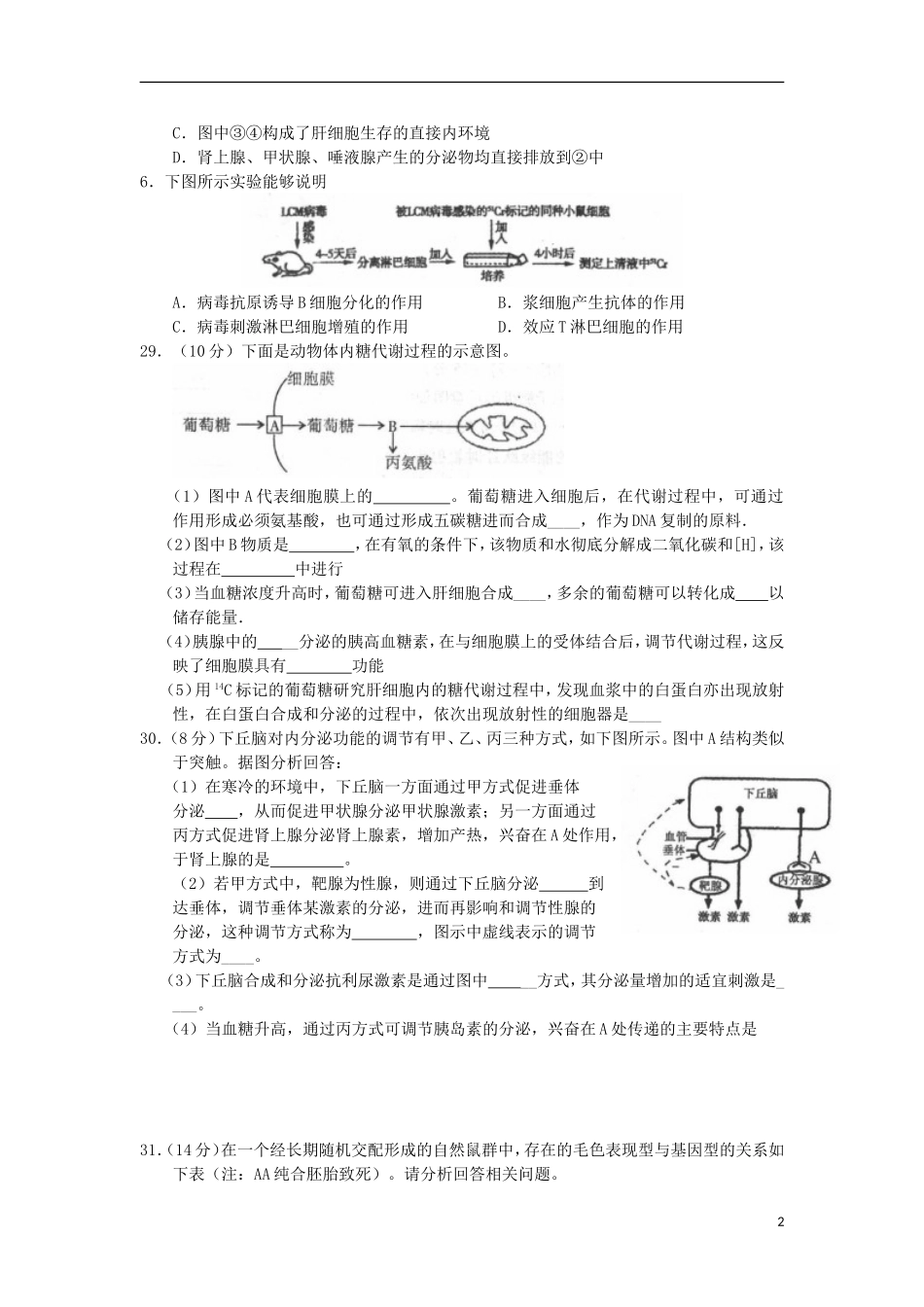 陕西省西安市长安区2013届高三理综上学期第一次质量检测综合生物试题新人教版_第2页