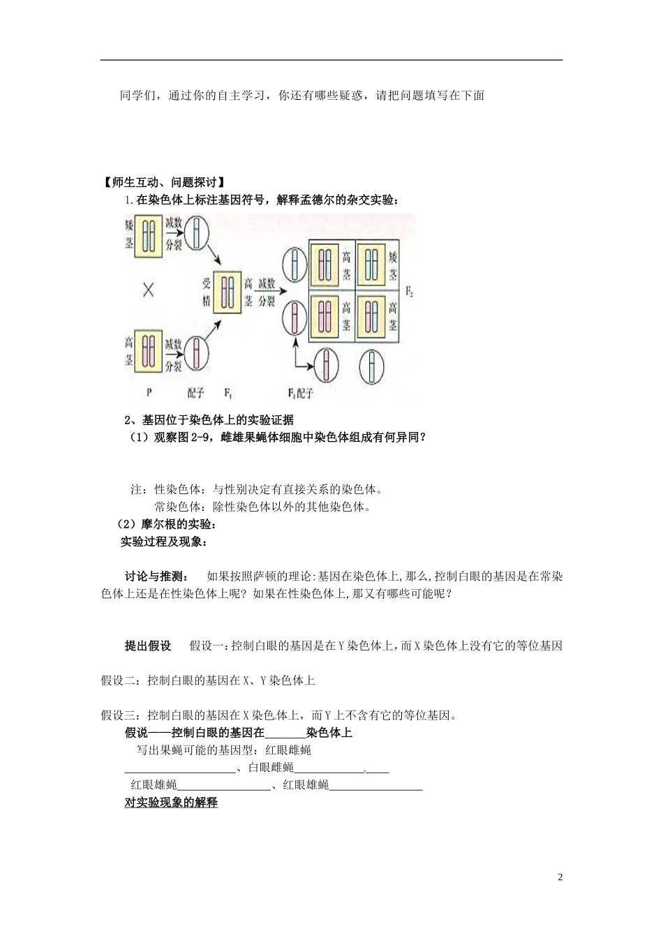 河北省唐山市开滦第二中学高中生物 2.2 基因的染色体上导学案 新人教版必修2_第2页