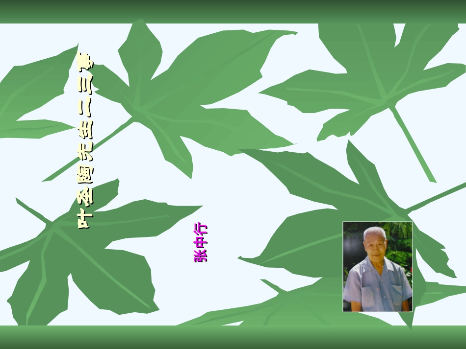 (部编)初中语文人教2011课标版七年级下册叶圣陶二三事-(10)_第2页