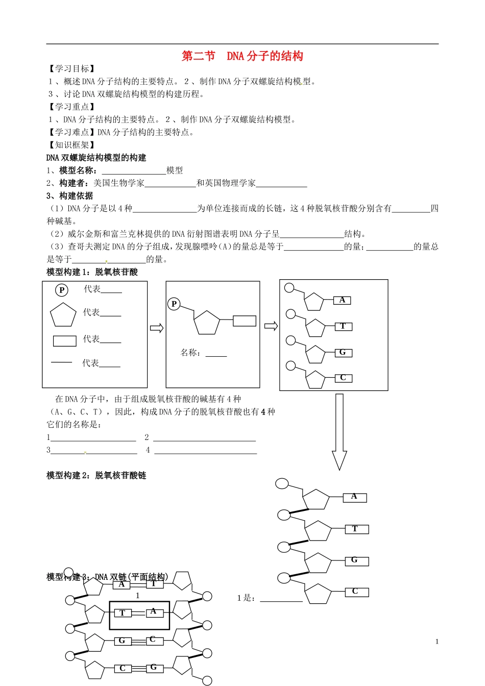 黑龙江省大庆外国语学校高中生物《DNA分子的结构》学案 新人教版必修2_第1页