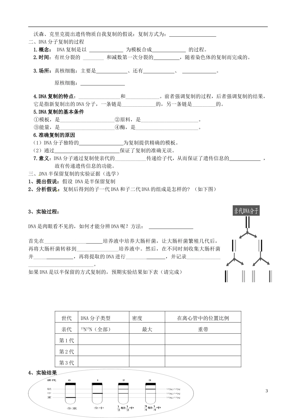 黑龙江省大庆外国语学校高中生物《DNA分子的结构》学案 新人教版必修2_第3页