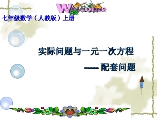实际问题与一元一次方程-----配套问题
