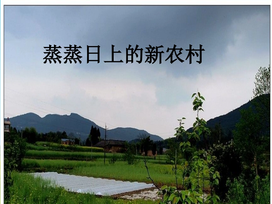《蒸蒸日上的新农村》课件3_第1页
