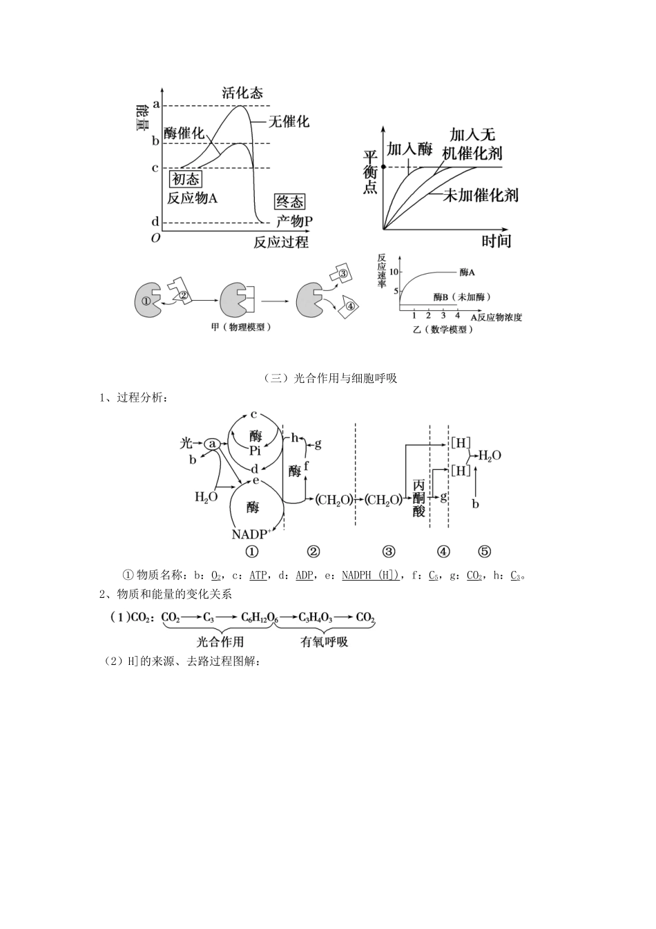 湖南省新田县高三生物二轮复习 专题2 细胞代谢学案-人教版高三全册生物学案_第2页