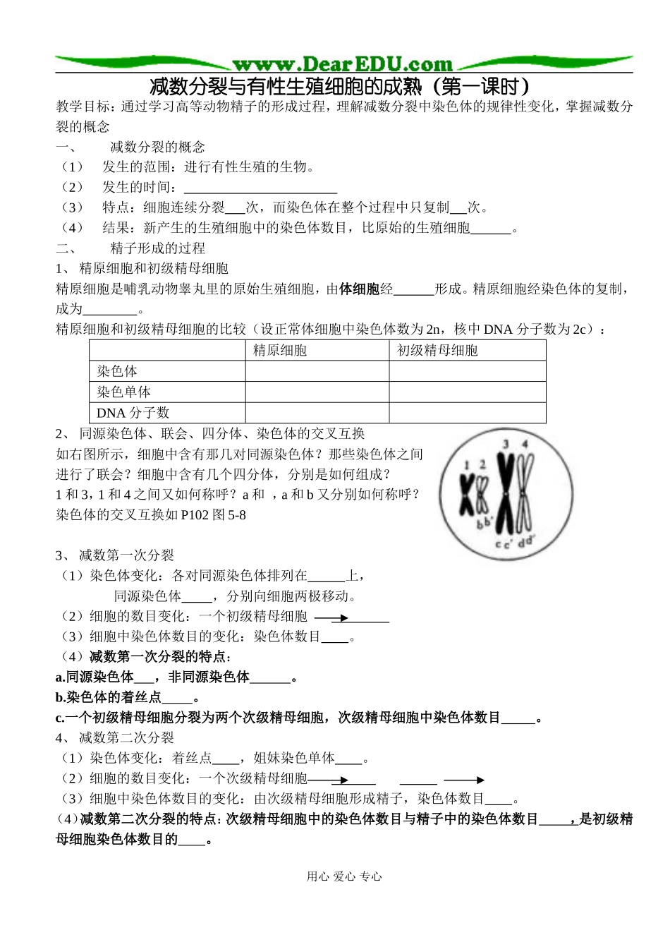 减数分裂第一课时_第1页