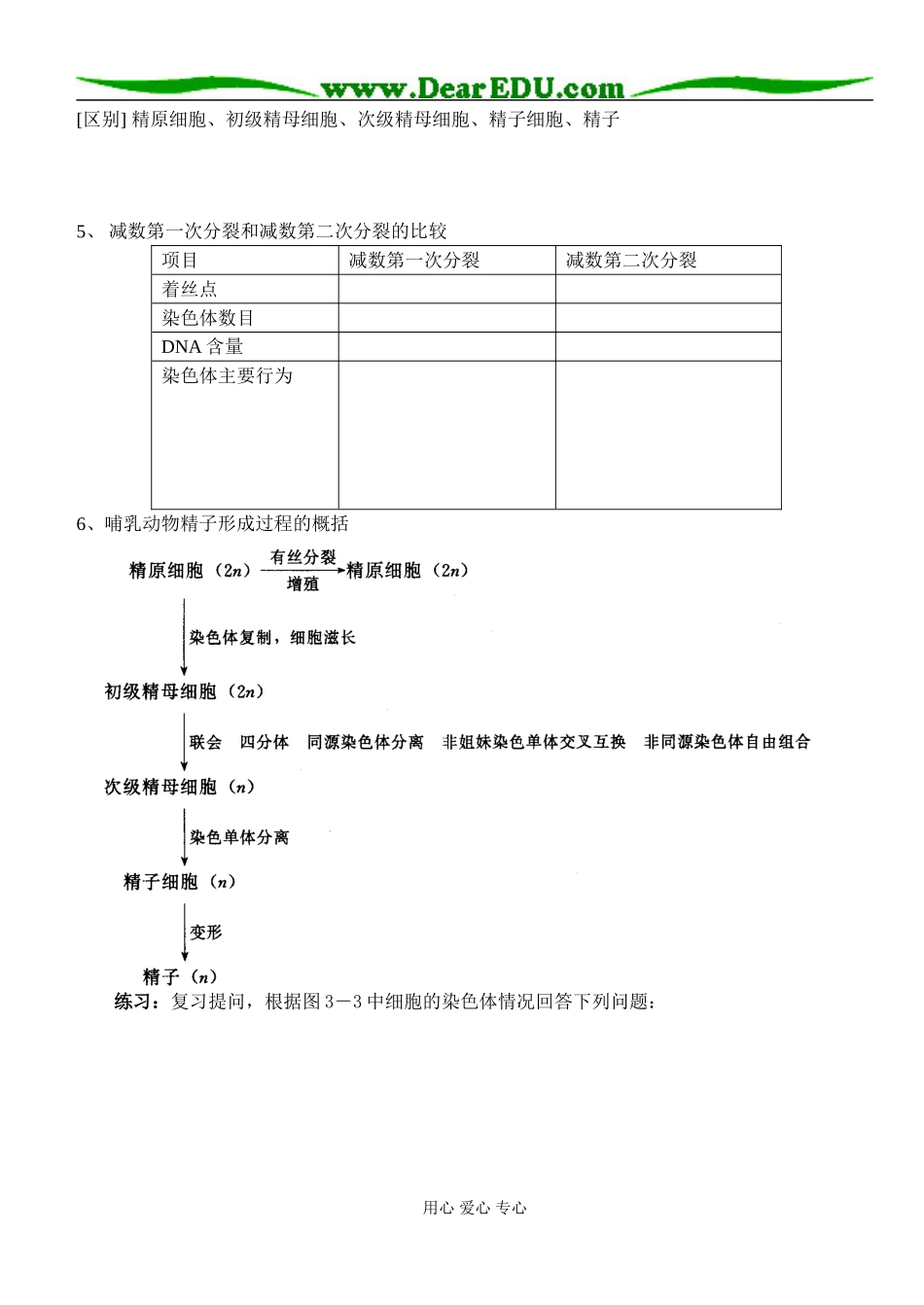减数分裂第一课时_第2页