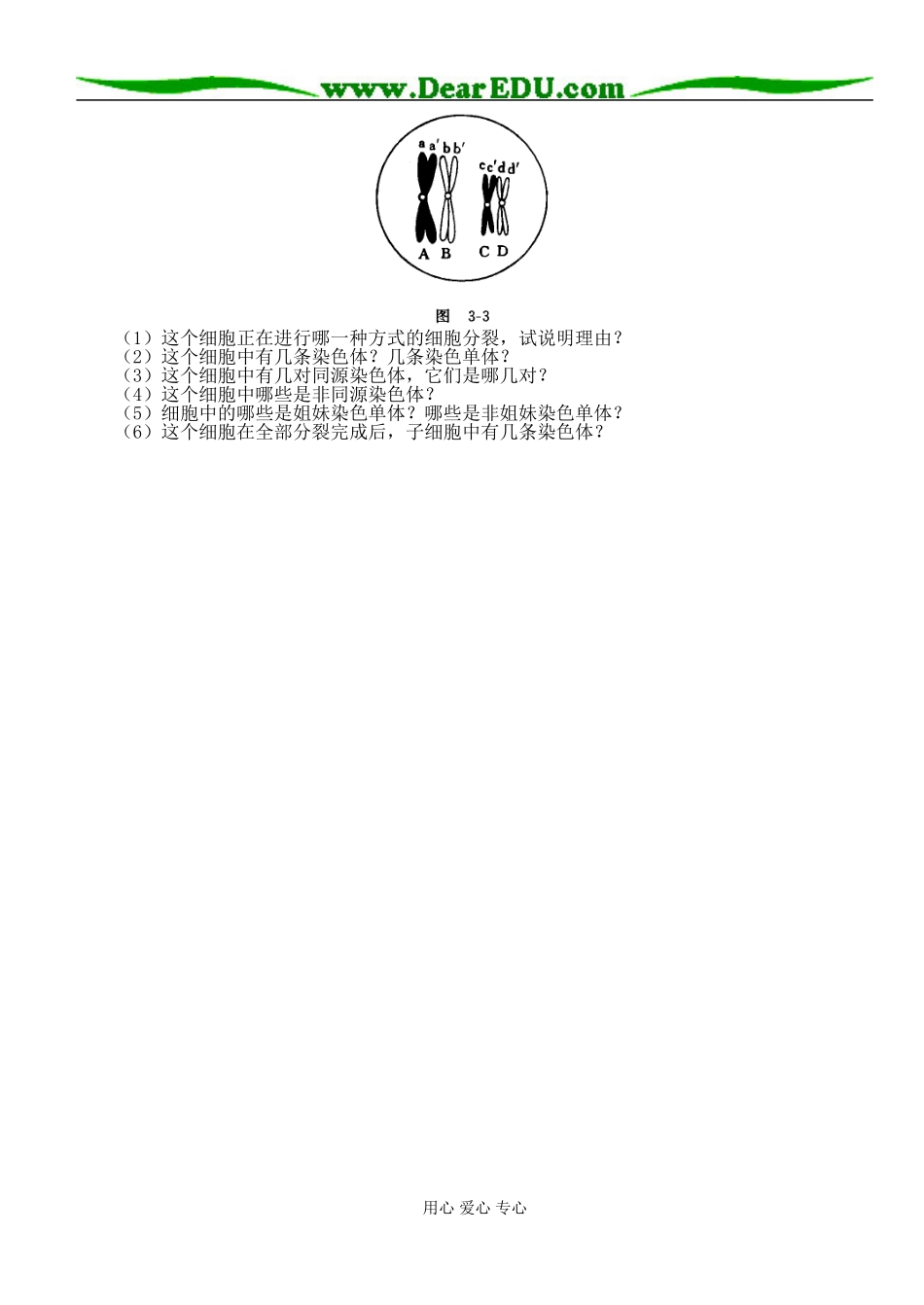 减数分裂第一课时_第3页