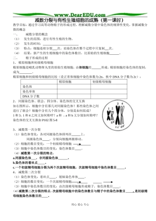 减数分裂第一课时