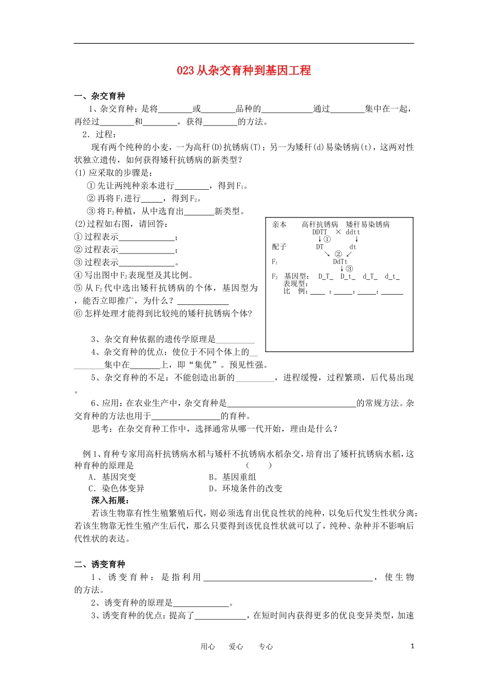 河北省广平一中高三生物总复习学案 023 从杂交育种到基因工程（艺术班）_第1页
