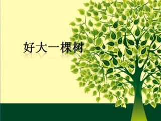 《好大一棵树》课件