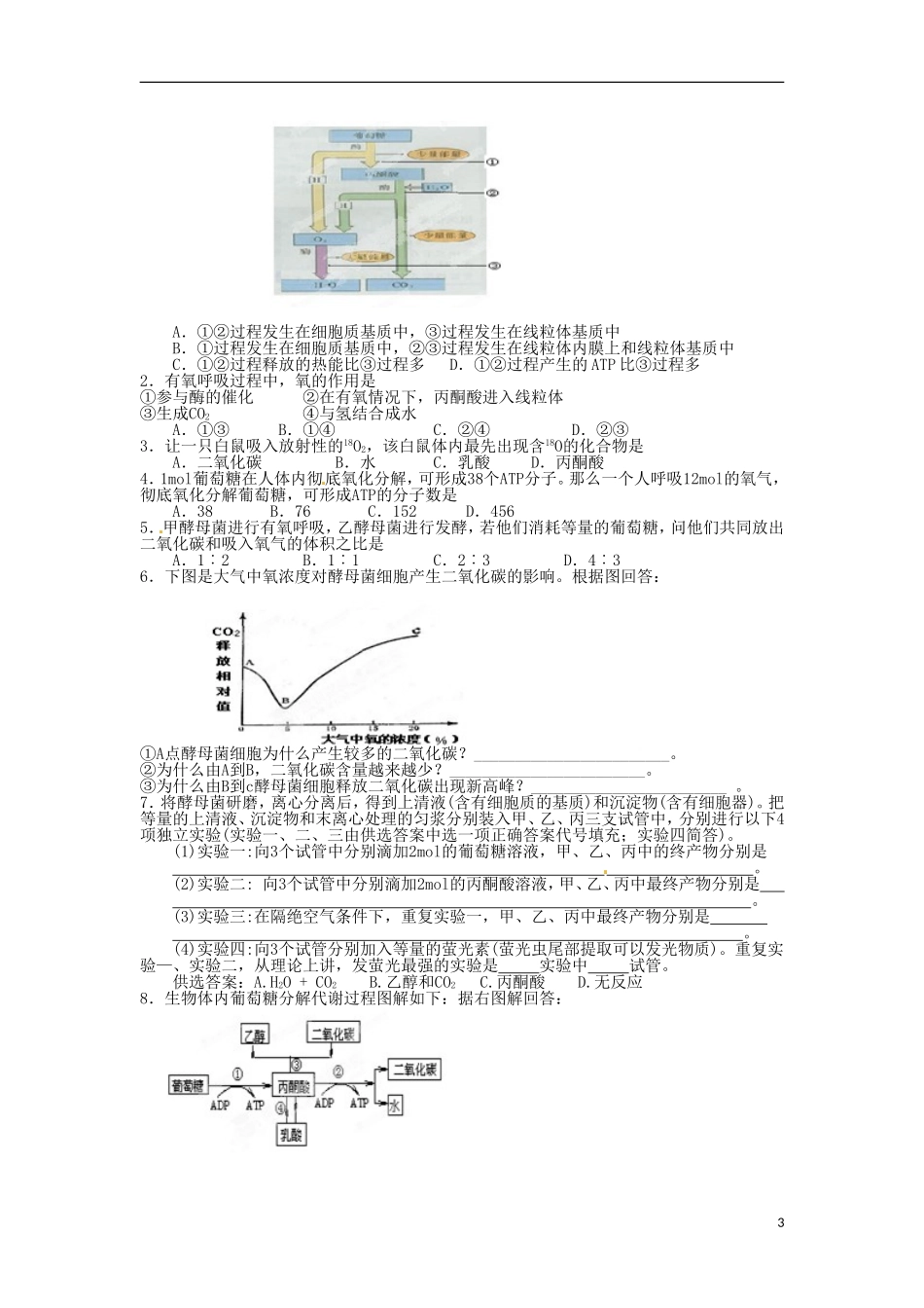 河北邯郸市第四中学高中生物 5.3ATP的主要来源 细胞呼吸学案 新人教版必修1_第3页