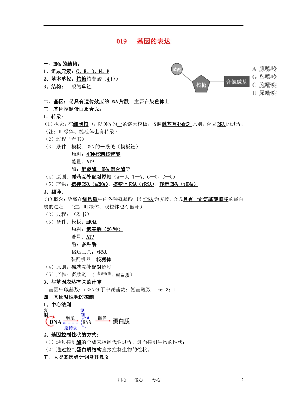 河北省广平一中高三生物总复习学案 019 基因的表达（艺术班）_第1页