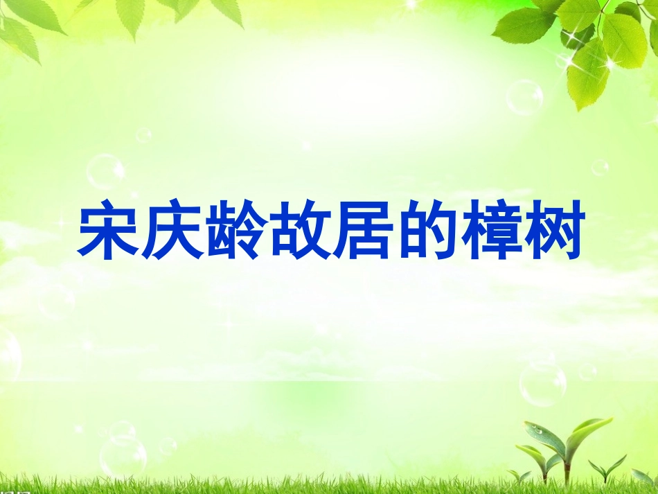 宋庆龄故居的樟树_第1页