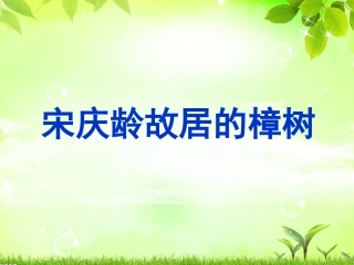 宋庆龄故居的樟树