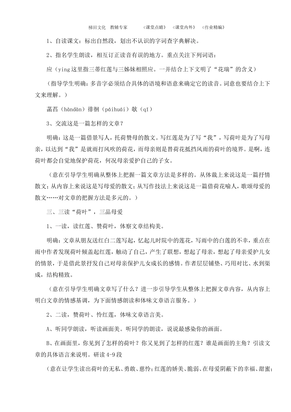 《荷叶--母亲》教案1_第3页