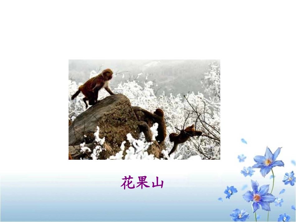 《猴王出世》教学课件_第3页