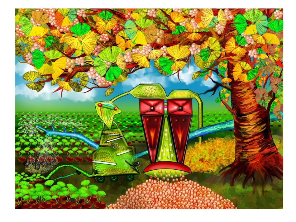 身边的树-作品欣赏_第2页